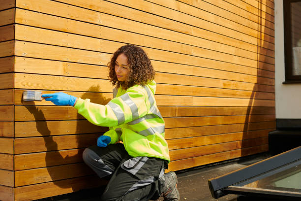 Best Fiber Cement Siding Installation  in Rockwood, MI